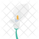 پیش‌نمایش فایل flower-1118 از پک طبیعت و باغبانی ۱