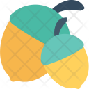 پیش‌نمایش فایل peach-91 از پک طبیعت و باغبانی ۱