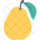 پیش‌نمایش فایل pear-192 از پک طبیعت و باغبانی ۱