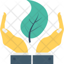 پیش‌نمایش فایل plant-care-1 از پک طبیعت و باغبانی ۱