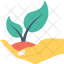 پیش‌نمایش فایل plant-care از پک طبیعت و باغبانی ۱