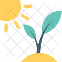 پیش‌نمایش فایل sapling-7 از پک طبیعت و باغبانی ۱