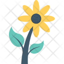 پیش‌نمایش فایل sunflower-107 از پک طبیعت و باغبانی ۱