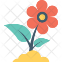 پیش‌نمایش فایل buttercup-flower-2 از پک طبیعت و باغبانی ۲