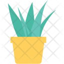 پیش‌نمایش فایل grass-pot-12 از پک طبیعت و باغبانی ۲