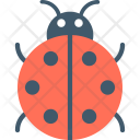 پیش‌نمایش فایل ladybug-35 از پک طبیعت و باغبانی ۲