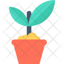 پیش‌نمایش فایل plant-pot-3 از پک طبیعت و باغبانی ۲