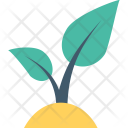پیش‌نمایش فایل sapling-11 از پک طبیعت و باغبانی ۲