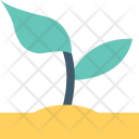 پیش‌نمایش فایل sapling-8 از پک طبیعت و باغبانی ۲