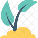 پیش‌نمایش فایل sapling-9 از پک طبیعت و باغبانی ۲