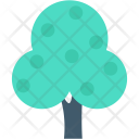 پیش‌نمایش فایل shrub-tree-8 از پک طبیعت و باغبانی ۲
