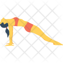 پیش‌نمایش فایل reverse-plank-1 از پک انسان ۲