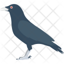 پیش‌نمایش فایل crow-14 از پک هالووین ۱