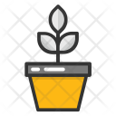 پیش‌نمایش فایل indoor-plant-2 از پک طبیعت ۲