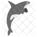پیش‌نمایش فایل dolphin-80 از پک زندگی دریایی