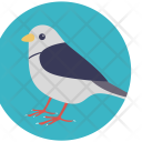 پیش‌نمایش فایل bird-213 از پک کریسمس