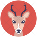 پیش‌نمایش فایل reindeer-206 از پک کریسمس