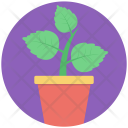 پیش‌نمایش فایل potted-plant-6 از پک آموزش ۳