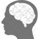 پیش‌نمایش فایل human-brain-12 از پک منابع انسانی ۳