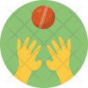 پیش‌نمایش فایل catching-ball از پک ورزشی