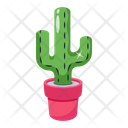 پیش‌نمایش فایل modern-cactus-6208614 از پک قرون وسطی
