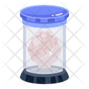 پیش‌نمایش فایل preserved-brain-jar-6208628 از پک قرون وسطی