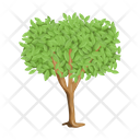 پیش‌نمایش فایل tree-6433415 از پک درخت