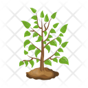پیش‌نمایش فایل tree-6433418 از پک درخت
