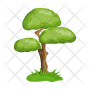 پیش‌نمایش فایل tree-6433419 از پک درخت