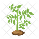پیش‌نمایش فایل tree-6433426 از پک درخت