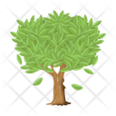 پیش‌نمایش فایل tree-6433429 از پک درخت