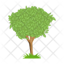 پیش‌نمایش فایل tree-6433431 از پک درخت