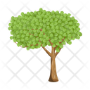 پیش‌نمایش فایل tree-6433433 از پک درخت