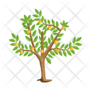 پیش‌نمایش فایل tree-6433434 از پک درخت