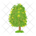 پیش‌نمایش فایل tree-6433437 از پک درخت