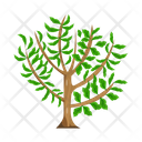 پیش‌نمایش فایل tree-6433439 از پک درخت