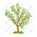 پیش‌نمایش فایل tree-6433440 از پک درخت
