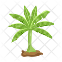 پیش‌نمایش فایل tree-6433441 از پک درخت