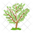 پیش‌نمایش فایل tree-6433447 از پک درخت