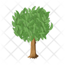 پیش‌نمایش فایل tree-6433448 از پک درخت