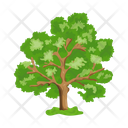 پیش‌نمایش فایل tree-6433449 از پک درخت