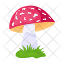 پیش‌نمایش فایل mushroom-6433476 از پک قارچ