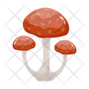 پیش‌نمایش فایل mushroom-6433478 از پک قارچ