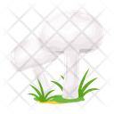 پیش‌نمایش فایل mushroom-6433479 از پک قارچ