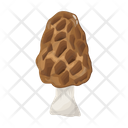 پیش‌نمایش فایل mushroom-6433480 از پک قارچ