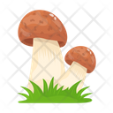 پیش‌نمایش فایل mushroom-6433481 از پک قارچ