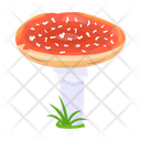 پیش‌نمایش فایل mushroom-6433482 از پک قارچ