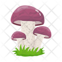پیش‌نمایش فایل mushroom-6433483 از پک قارچ