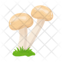 پیش‌نمایش فایل mushroom-6433484 از پک قارچ