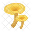 پیش‌نمایش فایل mushroom-6433485 از پک قارچ
